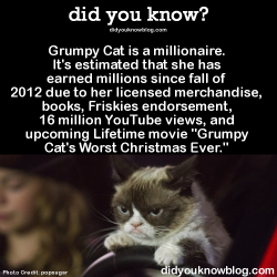 did-you-kno:  Grumpy Cat is a millionaire. It’s estimated that