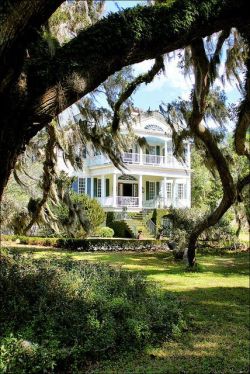 judithdcollins: William Seabrook House, Edisto Island, South