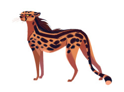 dailycatdrawings:  433: King Cheetah It’s International Cheetah