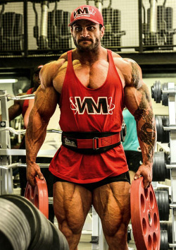 buildingthebodybeautiful:  Luke Schembri 