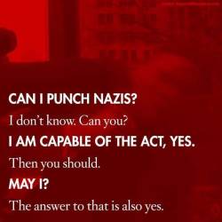 zvaigzdelasas: http://thoughtsonthedead.com/on-the-propriety-of-punching-nazis-an-faq/