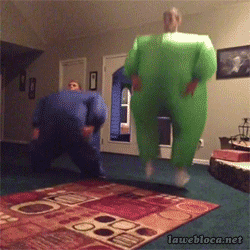 veganhealing:  dyrus:  this looks like so much fun  Why does