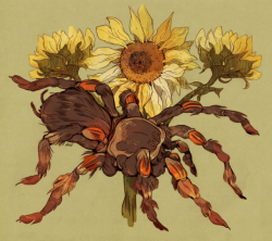 godzillabreath: Mexican red-knee tarantula and sunflower commission