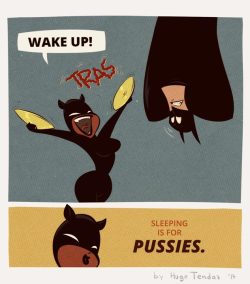   The Cat and The Bat - Sleeping     Real men don’t sleep,