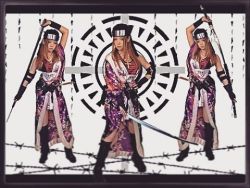 #ninja  忍者 #kunoichi #ninja #忍者 #akihabara#follow