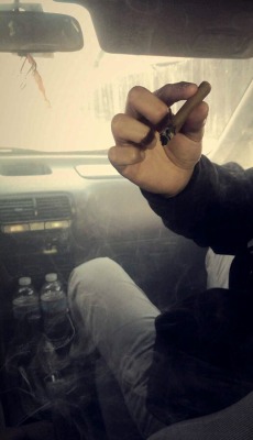 paradiseorfootlocker:  hotbox