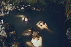 THEO GOSSELIN