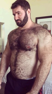 BACKFUR - Hairy/bear/horny/daddy