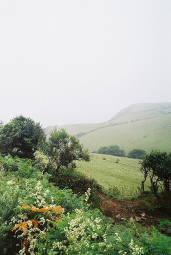 midsxmmer:  Summer Drizzle on Cornish Fields by Beardymonsta