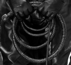 limitlessslave:  No no that shouldn’t be black, Whip should