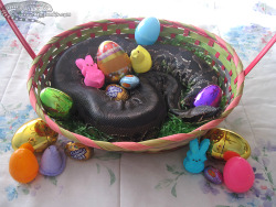 sunflic:  kookootegu:  Happy Easter from Angela!   look at this