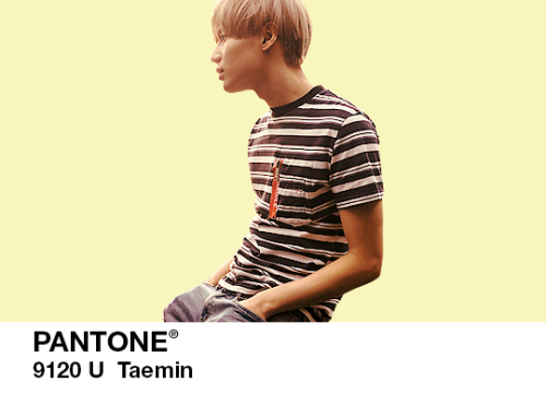 kitaecat:  [ SHINee x Pantone ] 