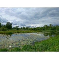 #Footpath. #WildLife **  Near #PalacePark, Teplaya #river, #Gatchina