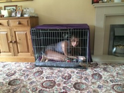 femaleslaves:  i-hate-the-beach:  I was put in the dog cage :(