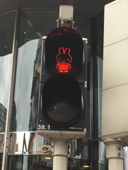 rebel-lion-heart:Miffy traffic light, Utrecht Netherlands