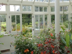 artyizz: Visited my dream greenhouse the other day! 🌸 