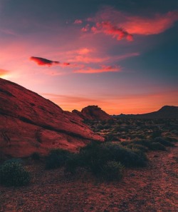 wetraveled:  wild