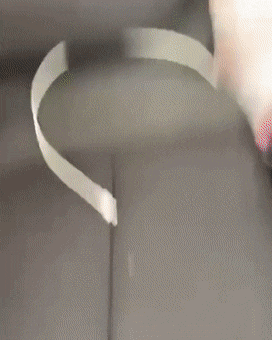 googifs:  Taking The Trash Out