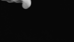 vivoinunmondodiburattini:  -