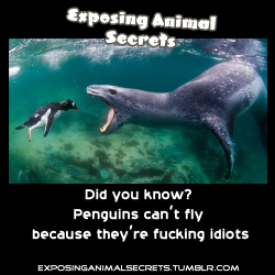 secretvideogamesecret:  Exposing the truth that all animals suk