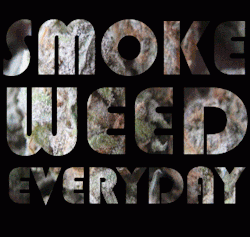 seedsmagic:  Smoke weed everyday