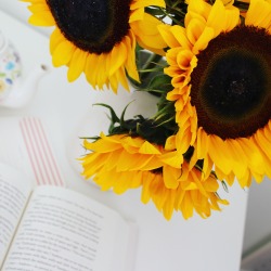 city-of-fiction:  Sunflowers make everything more beautiful 🌿