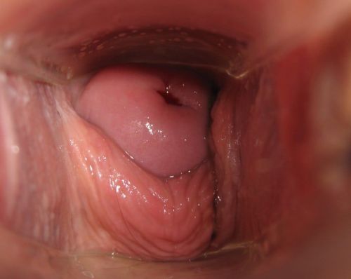 breeding-farm:  We have been doing some observations on breeding sessions at the farm. We believe that will help to increase our success rate of conceiving. Here is the inside look.Â 