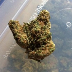wynn1ng:  Picture of some blue dream from this mornings wakenbake.