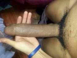 PRAISE BIG BLACK PENIS! dick-down-nigg:  #rt or #reblog if ur