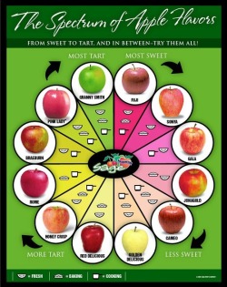 ahealthblog:  Apples help to curb appetite 