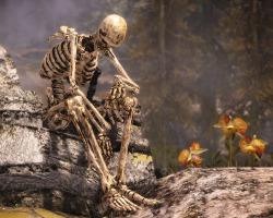 skelezor:  Highly emotional photo of a skeleton soldier on the
