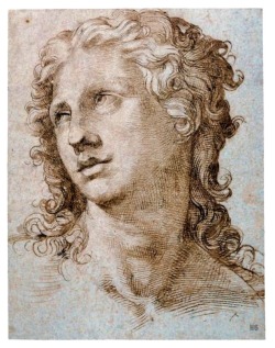 hair  hadrian6:  Male Head. Bartolomeo Passarotti. Italian 1529-1592.