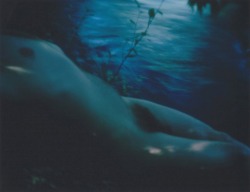erotismoerotisme:beside Fujifilm FP100c color print, borders
