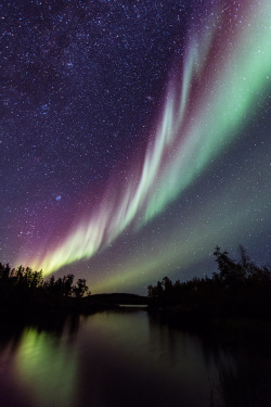 vurtual:The Aurora Borealis at Tibbitt Lake (by Taku)   Meet