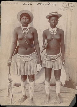 iluvsouthernafrica:  South Africa: Vintage image from late 1800’s.