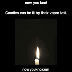 nowyoukno:  Now You Know candles can be lit by their vapor tail.