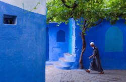 kotoripiyopiyo:  dieorfree:  Chefchaouen, Morocco    モロッコの青い家