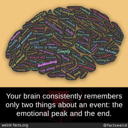 mindblowingfactz:  Your brain consistently remembers only two