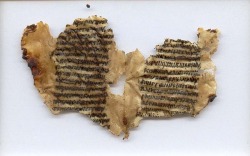 historyfilia:  These are some of the remains pages of the Codex