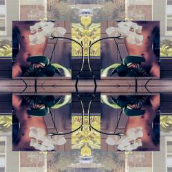 juanfranco:  Self in Flora, 2014Digital Photography 