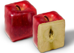 pussylipgloss:  the illuminati has gone too far