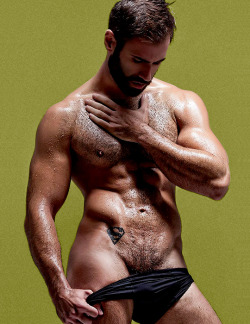 Sexy Beefy Hairy Men