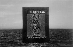 JOY DIVISION