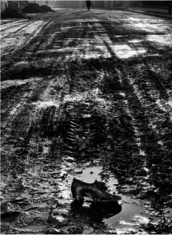  Heinrich Heidersberger, Shoe in Mud, 1950 