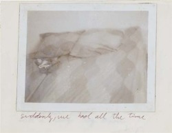 woundgallery:Felix Gonzalez-Torres, No title ,1989, ink and polaroid