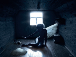 Angel (via Kassandra)