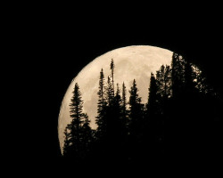 heartbuttercup:  Moonrise, by gainesp2003 