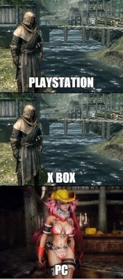 masmemes:  The Difference Between Consoles and PC http://ift.tt/1AzVatH