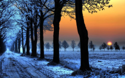 Winter twilight