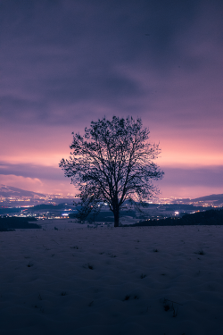 plasmatics-life:  Nightly Glow ~ By Gino Andenmatten 